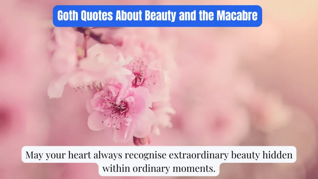 Goth Quotes About Beauty and the Macabre