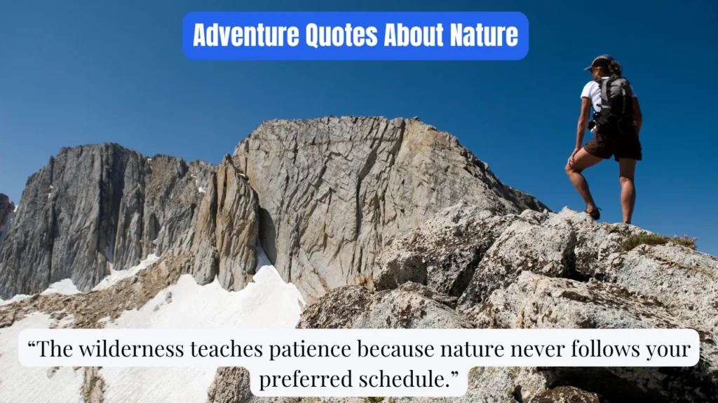 Adventure Quotes About Nature