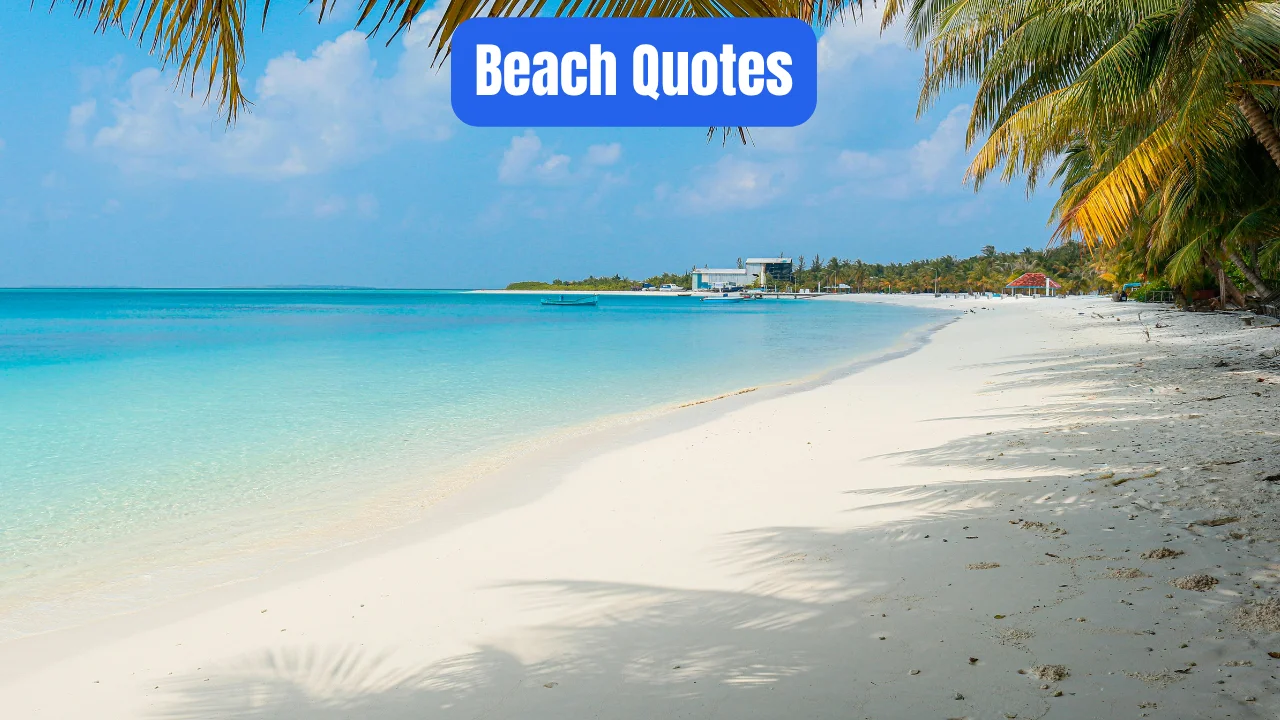 Beach Quotes