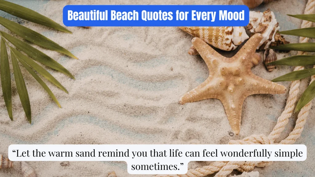 Beautiful Beach Quotes for Every Mood