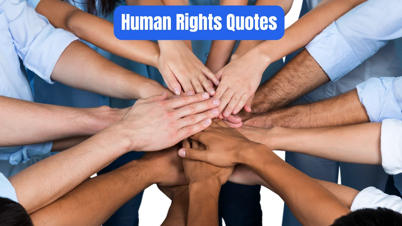 Human Rights Quotes
