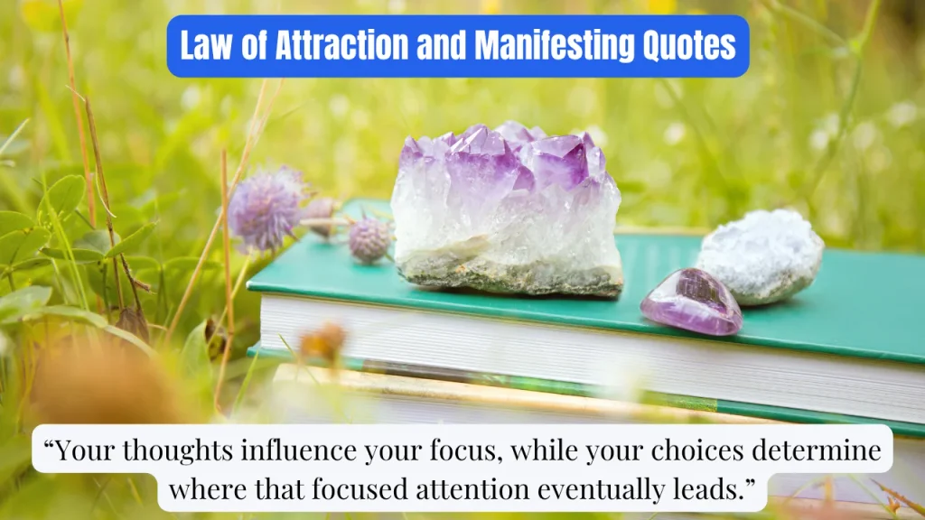 Law of Attraction and Manifesting Quotes