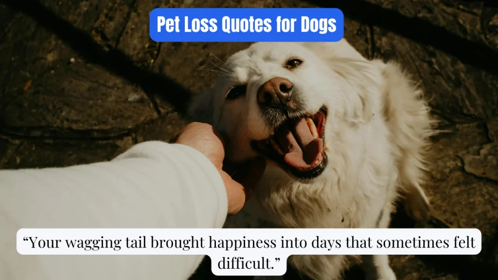Pet Loss Quotes for Dogs