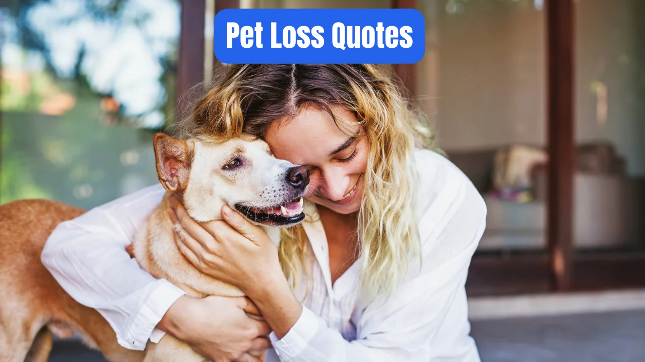 Pet Loss Quotes