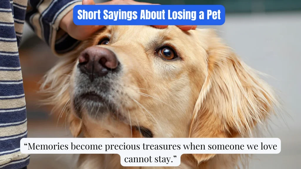 Short Sayings About Losing a Pet