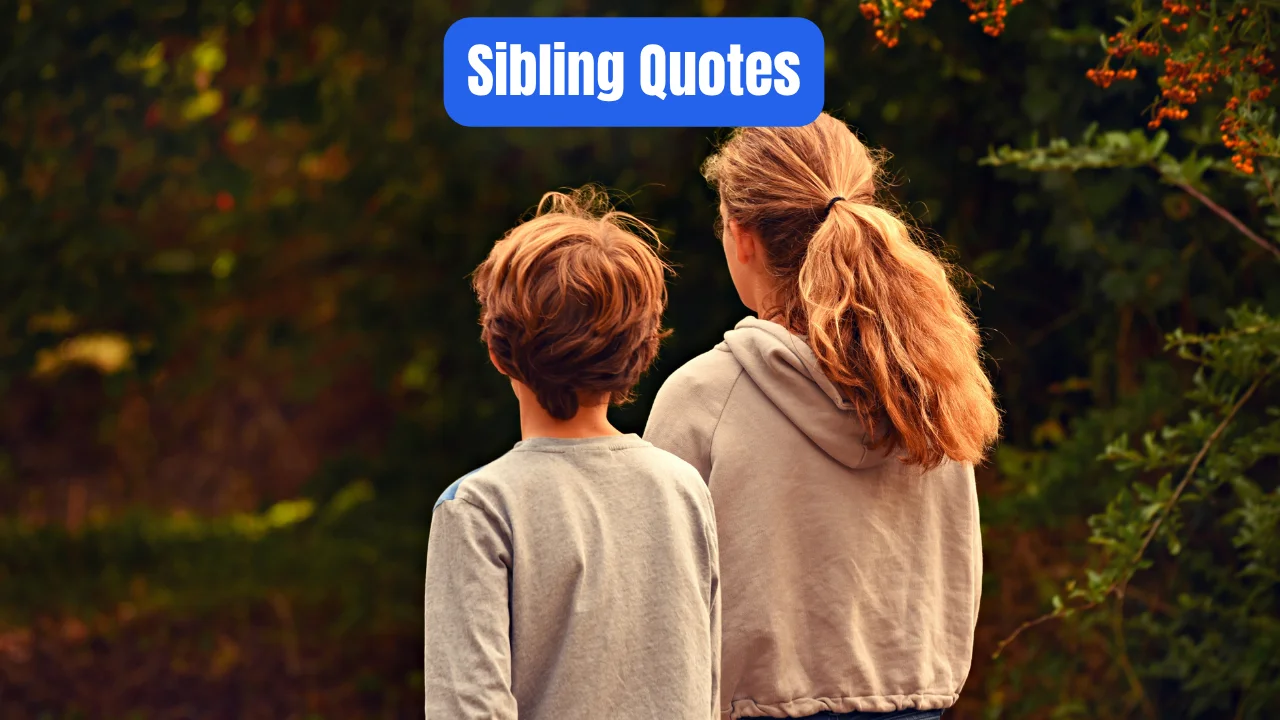 Sibling Quotes