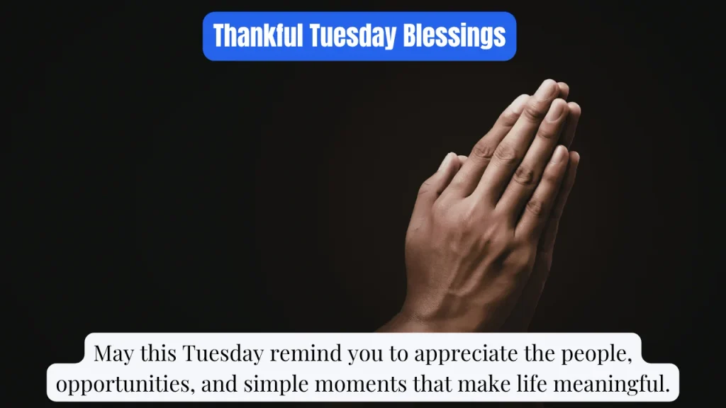 Thankful Tuesday Blessings